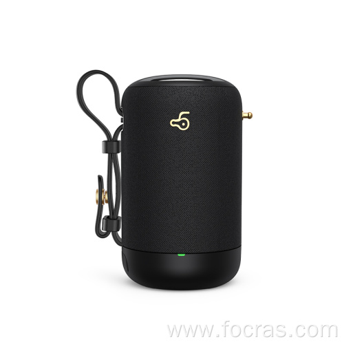Portable Bluetooth Speakers for Indoor and Outdoor Party